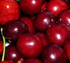 cherry medicine, cherry antioxidant