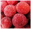 yumberry, yang mei, orac, antioxidants 