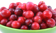 cranberry health benefits